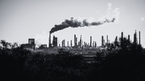 INSIGHTS: COP29 and the race to net-zero