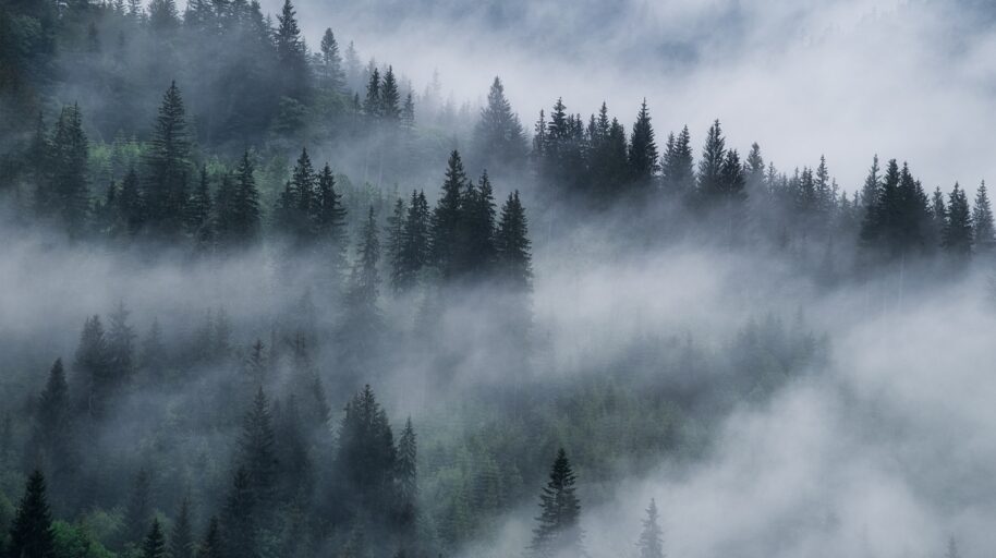 Natural Capital PR Case Study Oxygen Conservation and Mixology PR